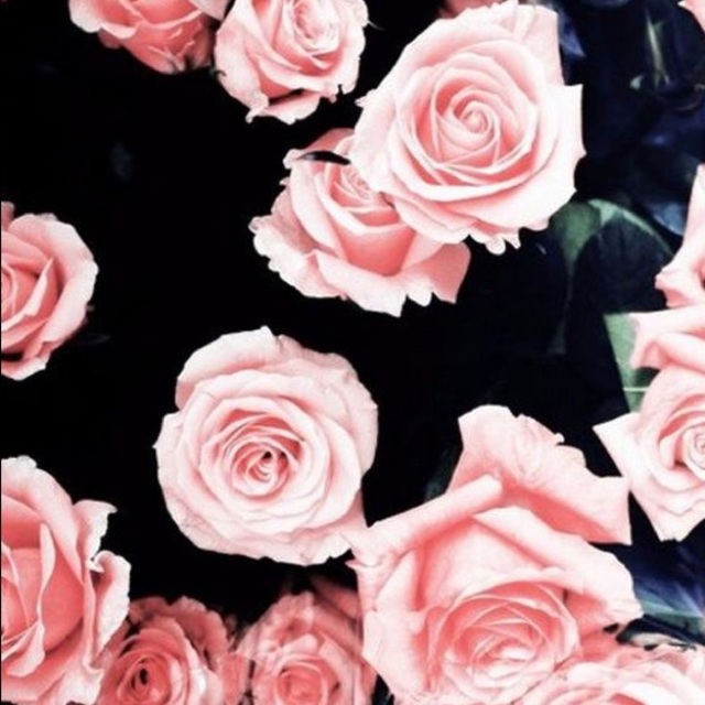 Poshmark banner for @scones